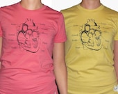 Anatomy of a Heart  Organic Lilac Purple Women's Tee S