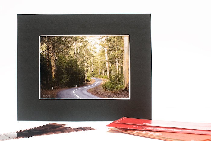 SALE - Matted photo print 5x7 Australia bush karri forest matted print green nature trees autumn Perth