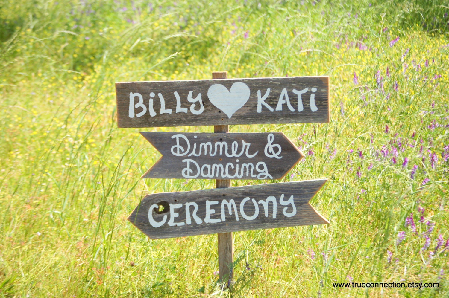 Rustic Wedding Signs 3 On 1 Stake. Country Wedding. Outdoor wedding Decorations. Photo Hand Painted Wedding Signs. YOUR WORDING