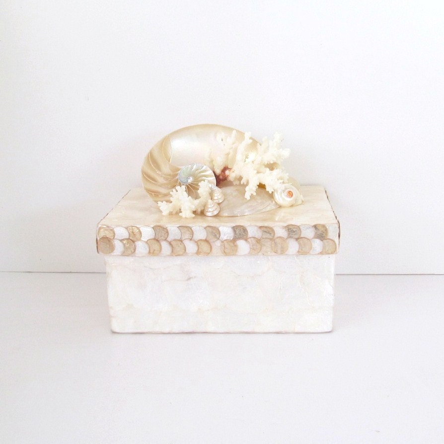 Box Capiz Nautilus Coral Shells Pearl and White Seashell Box