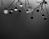 Rainy Day Series - Set of Five 6 x 6 inch Black and White Photographs