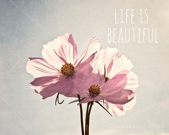 Life is Beautiful - 8x10 pale pink cosmos flower photo - inspirational, typography, pastel spring summer room decor