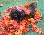 Needle Felted Animal / Dog Memorial / Original Fiber Art Sculpture / Your Pet in Miniature from your photos
