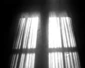 Photo. Sunday Afternoon. Light and Shadow Through Curtains on French Doors.