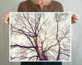 Large wall art 16x20 - Fine Art Photography print, art poster print, nature print, brown art,  mocha, rustic print neutral wall art