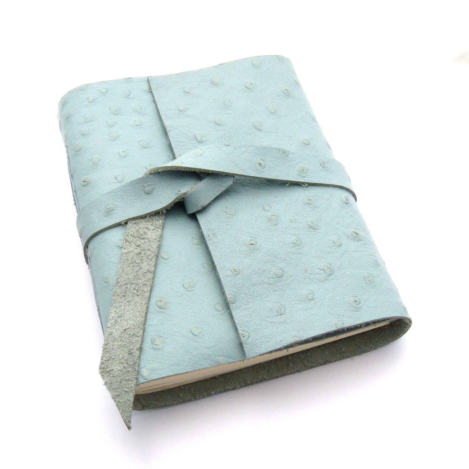 Pastel Blue Leather Journal, An Ostrich Embossed Leather Sketchbook and Journal
