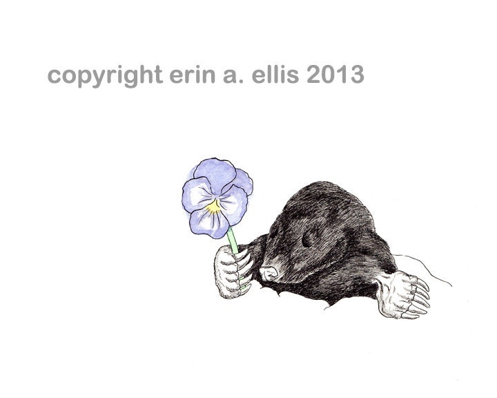 Mole 5x7 Print