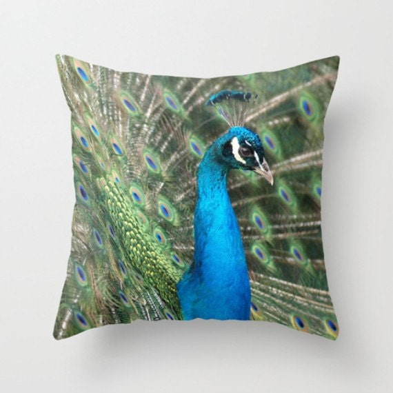 Pretty Peacock Pillow Cover 16X16 Pillow Cover Natural History Blue Bird Ornithology Birding Bird Photography Peacock Photo