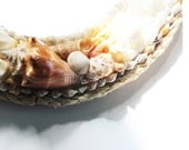 coastal living wall decor, seashell mirror, home and living decor, beach cottage mirror, seashell wall decor