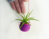 Neon Air plant holder- L'il Pot -under 20- purple