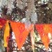 Wiccan Pagan Flags Summer Solstice Litha Element of Fire