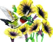 Hummingbird and Petunias