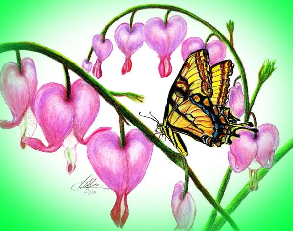 Bleeding Hearts with a Flutterby