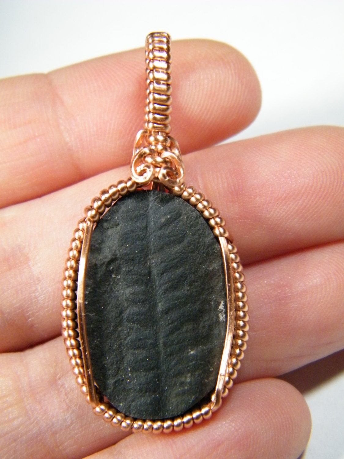 Plant fossil: Fern Frond Fossil in copper, pendant