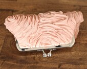 Champagne Nude Chiffon Clutch with Nickel Frame