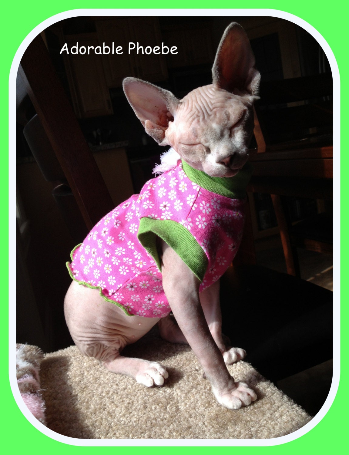 Sphynx Cat Wear  To Order Pink and Lime Shirt