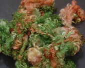 Woodland Colours  Wensleydale Locks 50gms