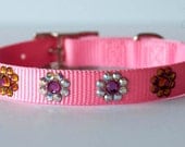 Couture Dog Collar-Pink/Boreal