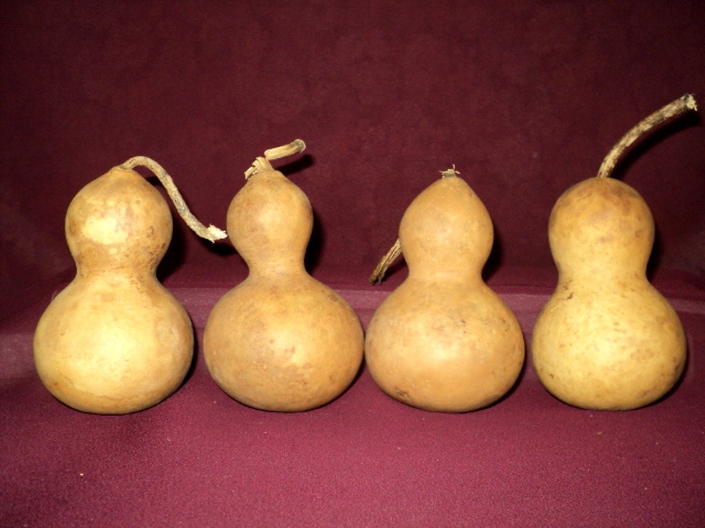 Craft Gourds 4 Bottle, Snowman, Mini Craft Gourds, Christmas Ornaments  (Item C 8)