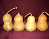 Craft Gourds CHUBBY 4 Bottle, Snowman, Mini Craft Gourds, Christmas Ornaments  (Item A)