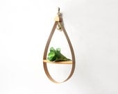Modern Bentwood Hanging Plant Stand