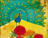 peacock instinct 8x10 art print