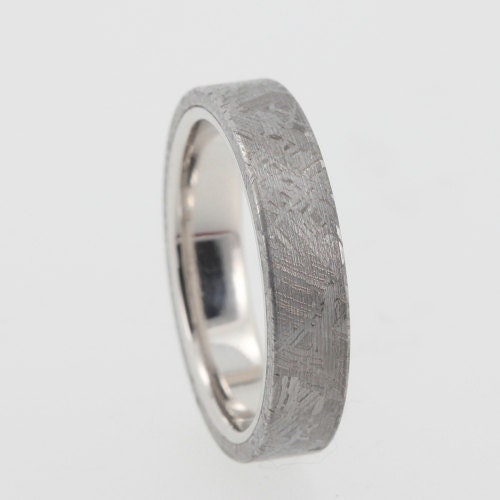 Meteorite Wedding Band with a Platinum Sleeve