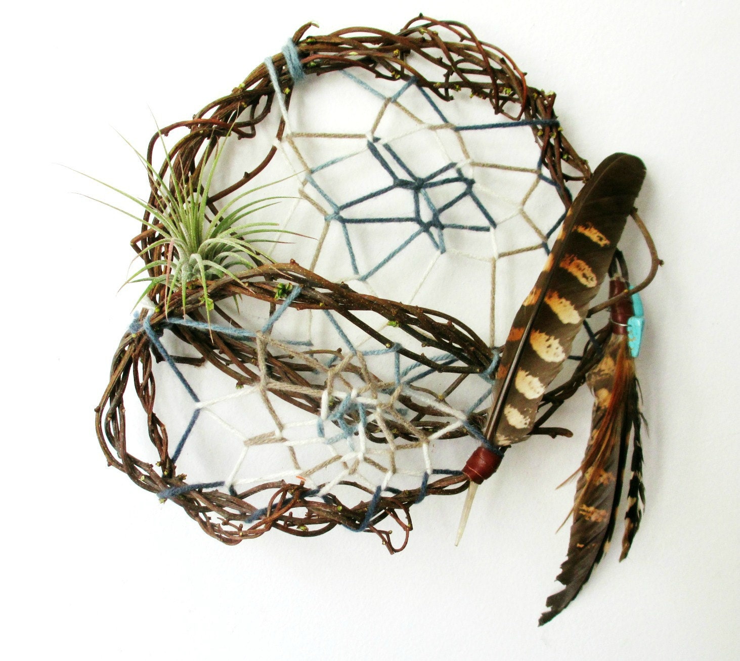 Living Dreamcatcher. Air Plant. Hanging Plant With Feathers. One of a Kind Art.