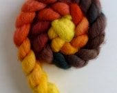 BFL Wool Roving - Hand Painted Spinning or Felting Fiber, 4 ounces, Tomato Medley Gradient