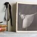 Vintage Ballerina Print - Book Plate - Giselle - Alicia Markova