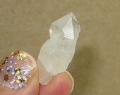 DT - Scepter - Cathedral - No Amethyst - The Regal Ones  - Amethyst Quartz Crystal Point From - Madagascar