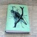 watchful hawk blank journal
