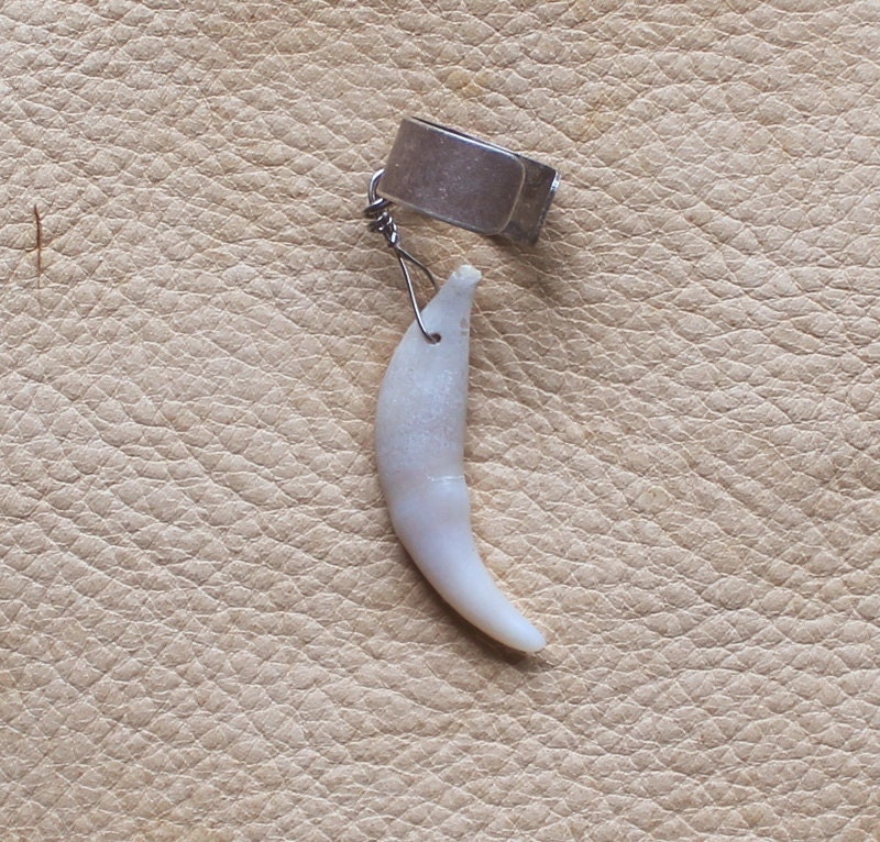 Real single red fox tooth on silver-plated brass ear cuff