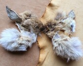 Coyote ears headdress - real eco-friendly clip-on coyote fur ears costume for totemic ritual and dance