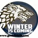 Winter is Coming Blue pinback button