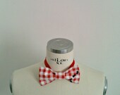 Picnic Bowtie with Ants