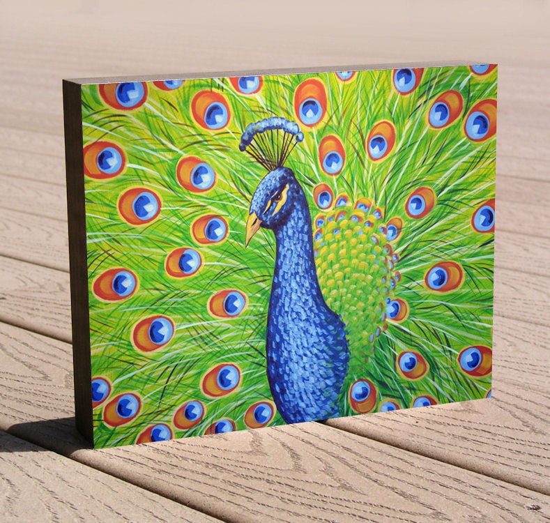Amy Giacomelli painting print ...8 x 10 print mounted on cradled birch panel...ready to hang...."Splendor", peacock art