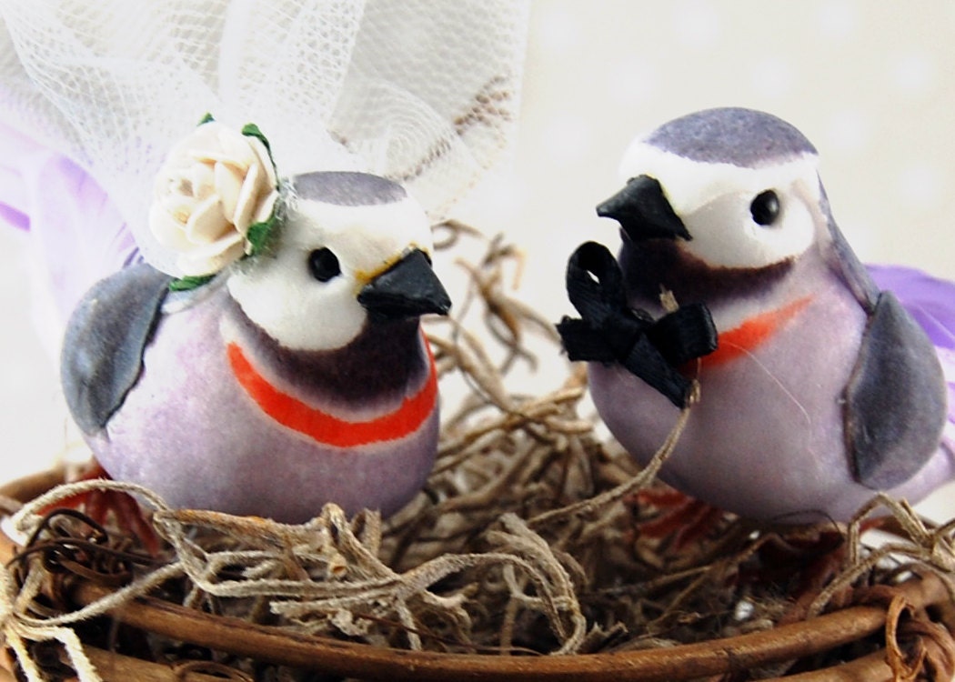 New and On Sale - Love Nest Love Birds Wedding Cake Topper: Cute, Country Bride & Groom Lovebirds in Lavender and Gray