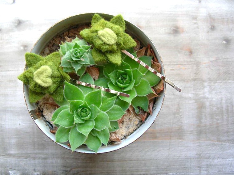 Felt Succulent Hair Pins // Moss Green // Womens Hair Accessories Handmade by OrdinaryMommy on Etsy