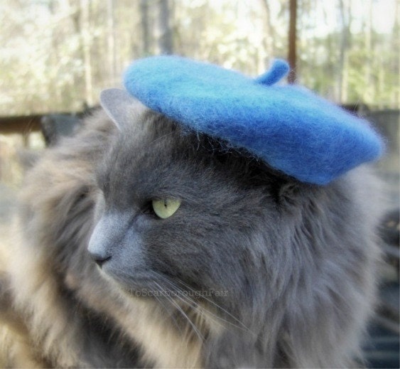 Cat Beret - Pure Wool Felted Beret for Pets - Olympian Blue French Chic Beret
