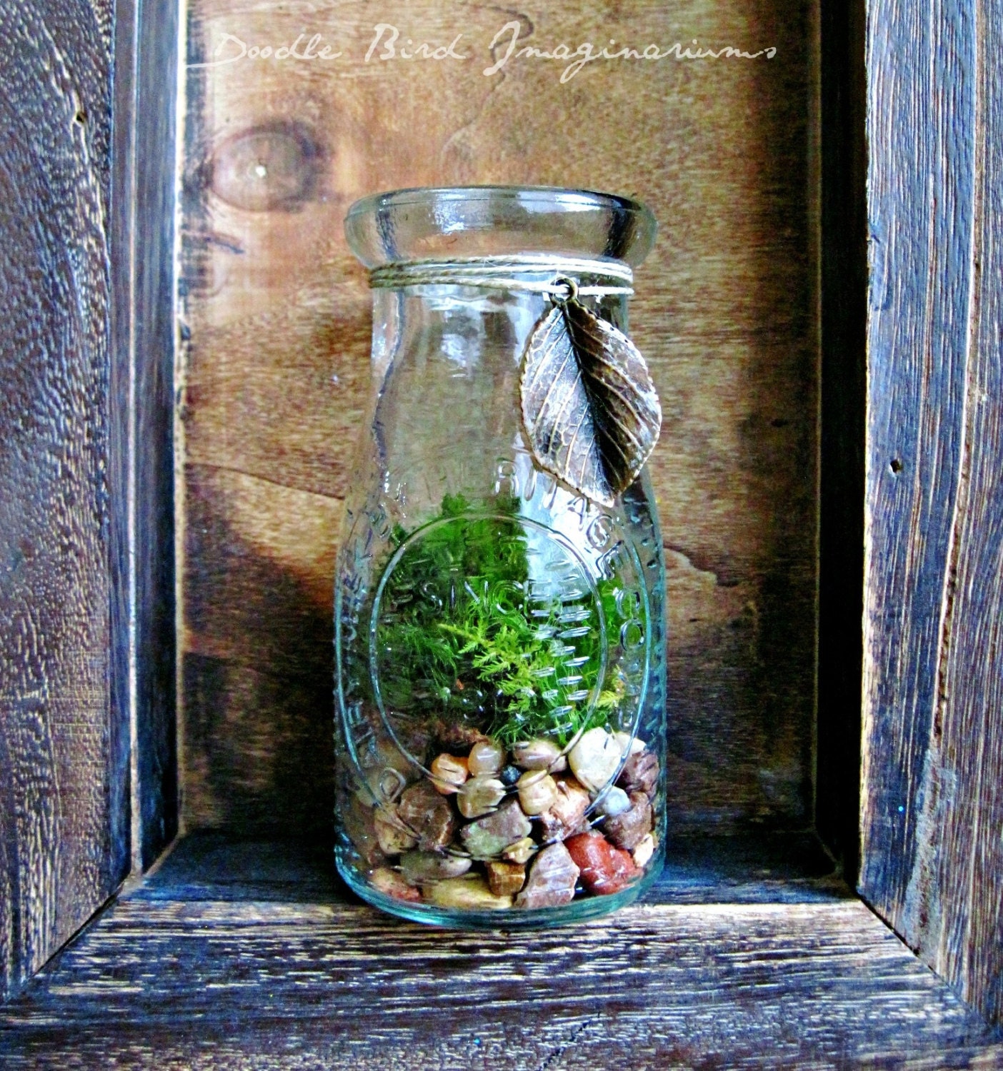 Milk Bottle Terrarium / Live Plants / Vintage Style Decor/ Milk Jar Planter