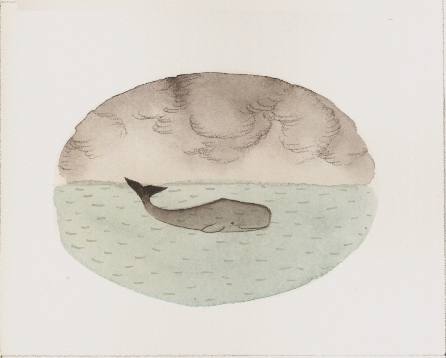 Whale 15