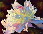 White Peony watercolor painting print 16 x 22 art by Cathy Hillegas, June Light, white, pink, yellow, blue, purple