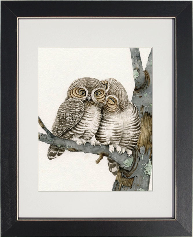 Owl Smooches - 8"x10" archival watercolor print by Tracy Lizotte