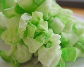 Crinkled Ribbon-Lily Pad