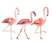 Single Ladies- 16" x 20" Archival Print