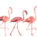 Single Ladies- 16" x 20" Archival Print