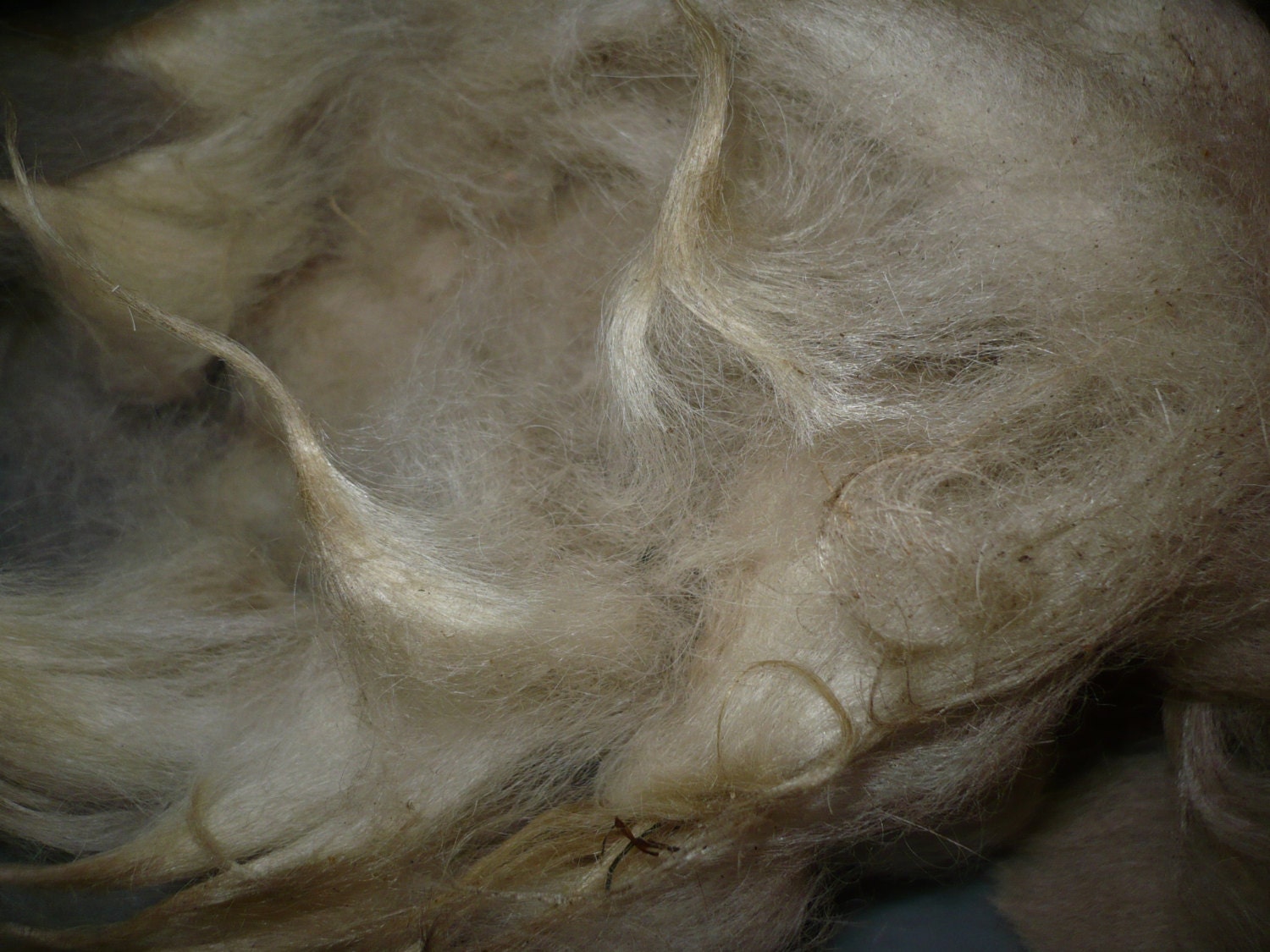 3 to 5 in  Suri Llama - Raw - 1oz