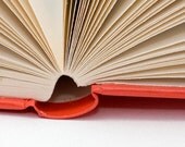 Include the inside pages of my book - book page craft ideas