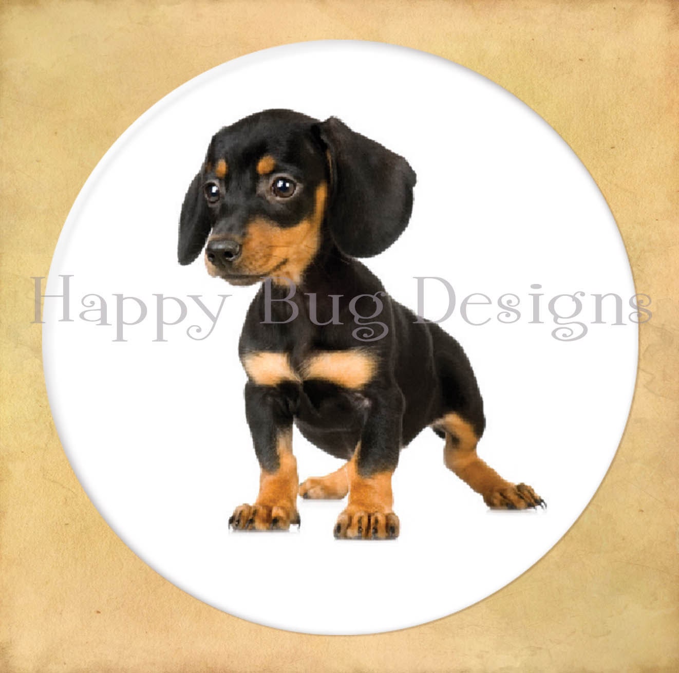 Buy 2 Get One FREE - DACHSHUND  -  Pocket Mirror or Magnet